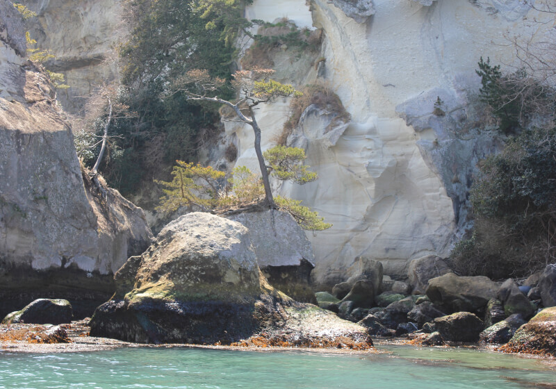 孫島
