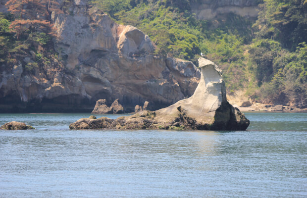 あしか島